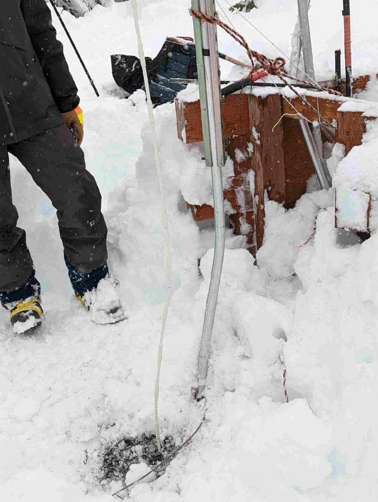 Avalanche cable in white heat shrink