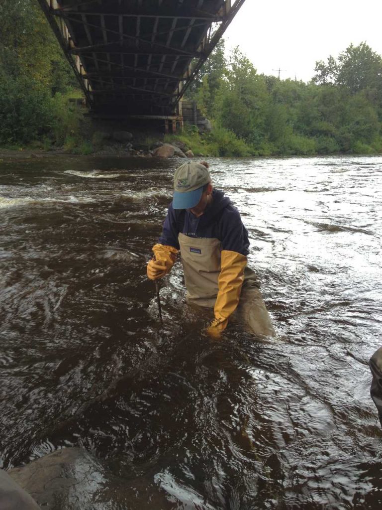 Sue Mauger installing a beadedstream digital temperature cable in the river