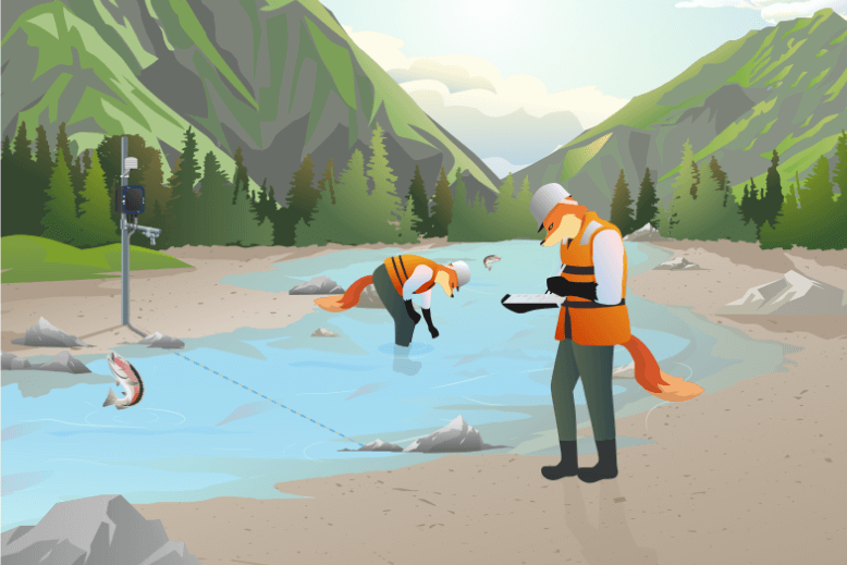 beadedstream sample fish stream monitoring - vector image