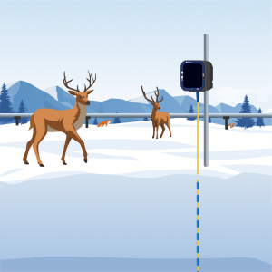 Temperature monitoring of permafrost to protect Environment and Wildlife using beadedstream digital thermistor string and data logger
