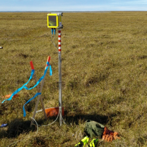Man using Capture App in the field