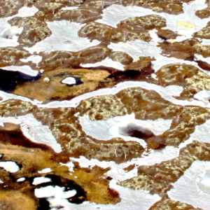 permafrost header banner