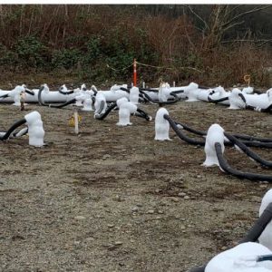 Ground freezing with digital temperature cables