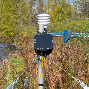 beadedstream data logger and temperature cables used in lake monitoring